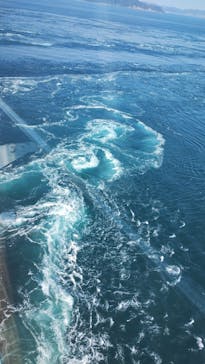 徳島県立 渦の道に投稿された画像（2025/3/20）