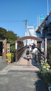 徳島県立 渦の道に投稿された画像（2025/3/20）