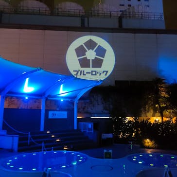 サンシャイン水族館に投稿された画像（2025/3/20）