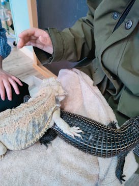 Moff animal cafe iias つくば店に投稿された画像（2025/3/20）