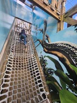 モビリティリゾートもてぎに投稿された画像（2025/3/20）