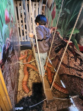 モビリティリゾートもてぎに投稿された画像（2025/3/20）