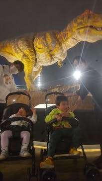 福井県立恐竜博物館に投稿された画像（2025/3/20）
