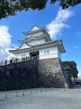 小田原城に投稿された画像（2025/3/20）