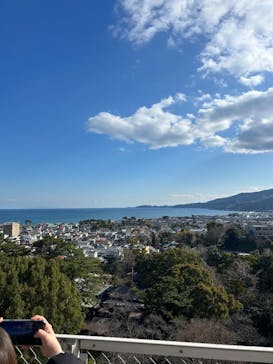 小田原城に投稿された画像（2025/3/20）