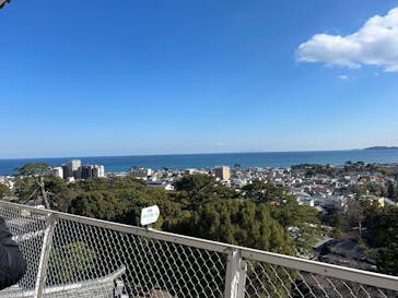 小田原城に投稿された画像（2025/3/20）