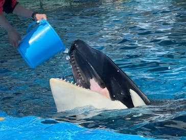 名古屋港水族館に投稿された画像（2025/3/20）