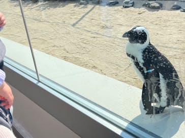 マリンワールド海の中道に投稿された画像（2025/3/20）