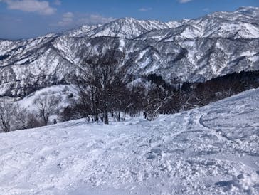 シャルマン火打スキー場に投稿された画像（2025/3/21）