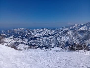 シャルマン火打スキー場に投稿された画像（2025/3/21）