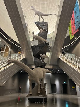 福井県立恐竜博物館に投稿された画像（2025/3/21）