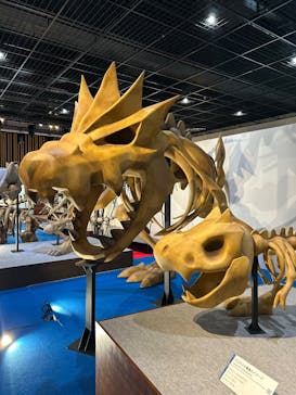 福井県立恐竜博物館に投稿された画像（2025/3/21）