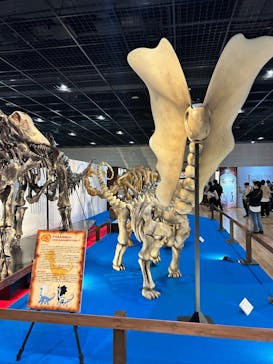 福井県立恐竜博物館に投稿された画像（2025/3/21）