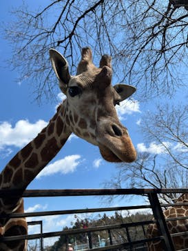 宇都宮動物園に投稿された画像（2025/3/21）