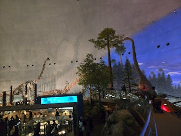 福井県立恐竜博物館に投稿された画像（2025/3/21）