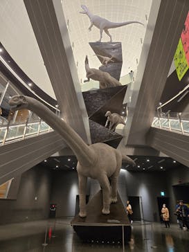 福井県立恐竜博物館に投稿された画像（2025/3/21）