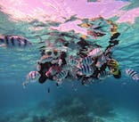 青の洞窟専門店　沖縄ダイビングショップ和に投稿された画像（2025/3/21）