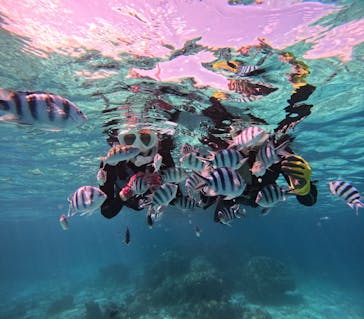 青の洞窟専門店　沖縄ダイビングショップ和に投稿された画像（2025/3/21）