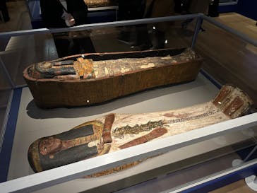 ブルックリン博物館所蔵 特別展 古代エジプトに投稿された画像（2025/3/21）