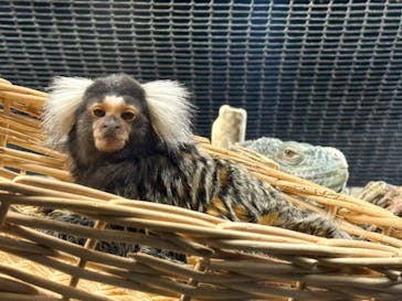 カワスイ 川崎⽔族館に投稿された画像（2025/3/21）