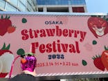 OSAKA Strawberry Festivalに投稿された画像（2025/3/21）