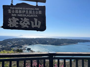 下田ロープウェイに投稿された画像（2025/3/21）