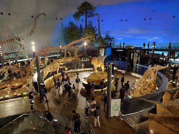 福井県立恐竜博物館に投稿された画像（2025/3/21）
