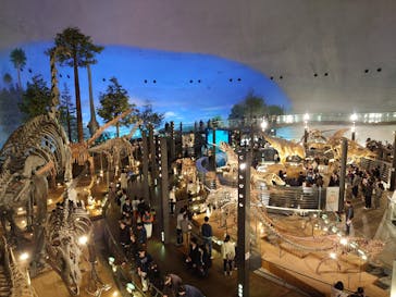 福井県立恐竜博物館に投稿された画像（2025/3/21）