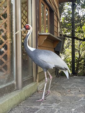 伊豆シャボテン動物公園に投稿された画像（2025/3/21）