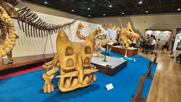 福井県立恐竜博物館に投稿された画像（2025/3/21）