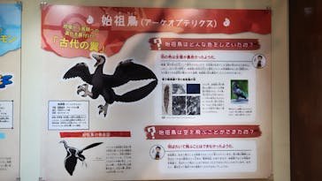 福井県立恐竜博物館に投稿された画像（2025/3/21）