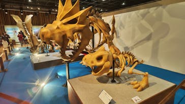 福井県立恐竜博物館に投稿された画像（2025/3/21）