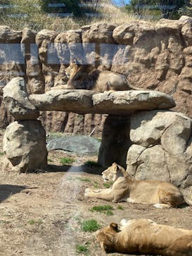 日立市かみね動物園に投稿された画像（2025/3/21）
