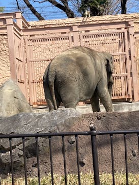 日立市かみね動物園に投稿された画像（2025/3/21）