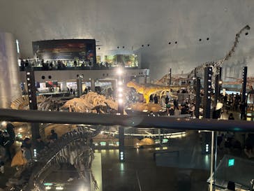 福井県立恐竜博物館に投稿された画像（2025/3/21）