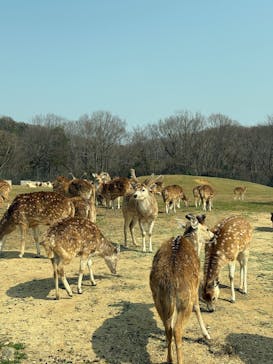 姫路セントラルパークに投稿された画像（2025/3/21）