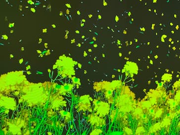 動き出す浮世絵展 TOKYOに投稿された画像（2025/3/21）