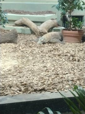 名古屋市東山動植物園に投稿された画像（2025/3/21）