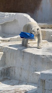 天王寺動物園に投稿された画像（2025/3/21）