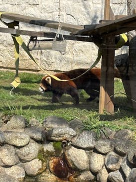 天王寺動物園に投稿された画像（2025/3/21）