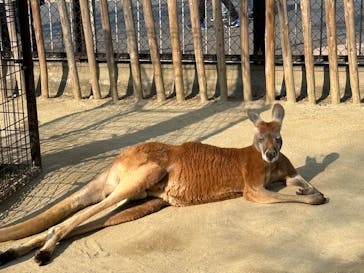 名古屋市東山動植物園に投稿された画像（2025/3/21）