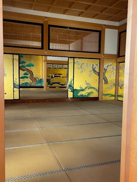 名古屋城に投稿された画像（2025/3/21）