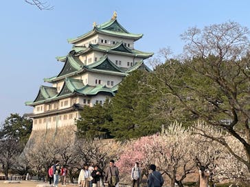 名古屋城に投稿された画像（2025/3/21）