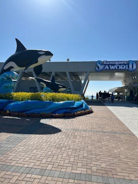 鴨川シーワールドに投稿された画像（2025/3/21）
