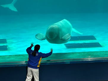 鴨川シーワールドに投稿された画像（2025/3/21）