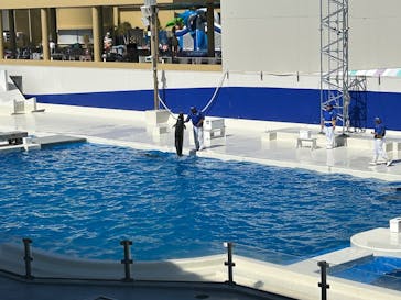 鴨川シーワールドに投稿された画像（2025/3/21）