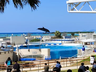 沖縄美ら海水族館に投稿された画像（2025/3/21）