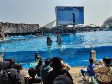 名古屋港水族館に投稿された画像（2025/3/21）