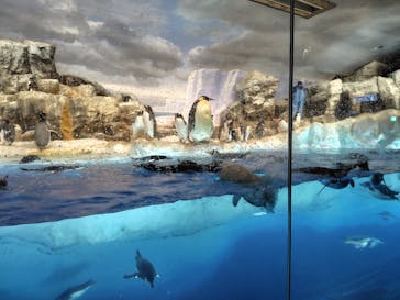 名古屋港水族館に投稿された画像（2025/3/21）