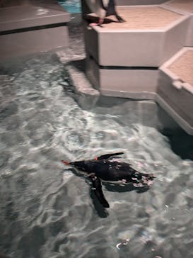 AOAO SAPPOROに投稿された画像（2025/3/21）